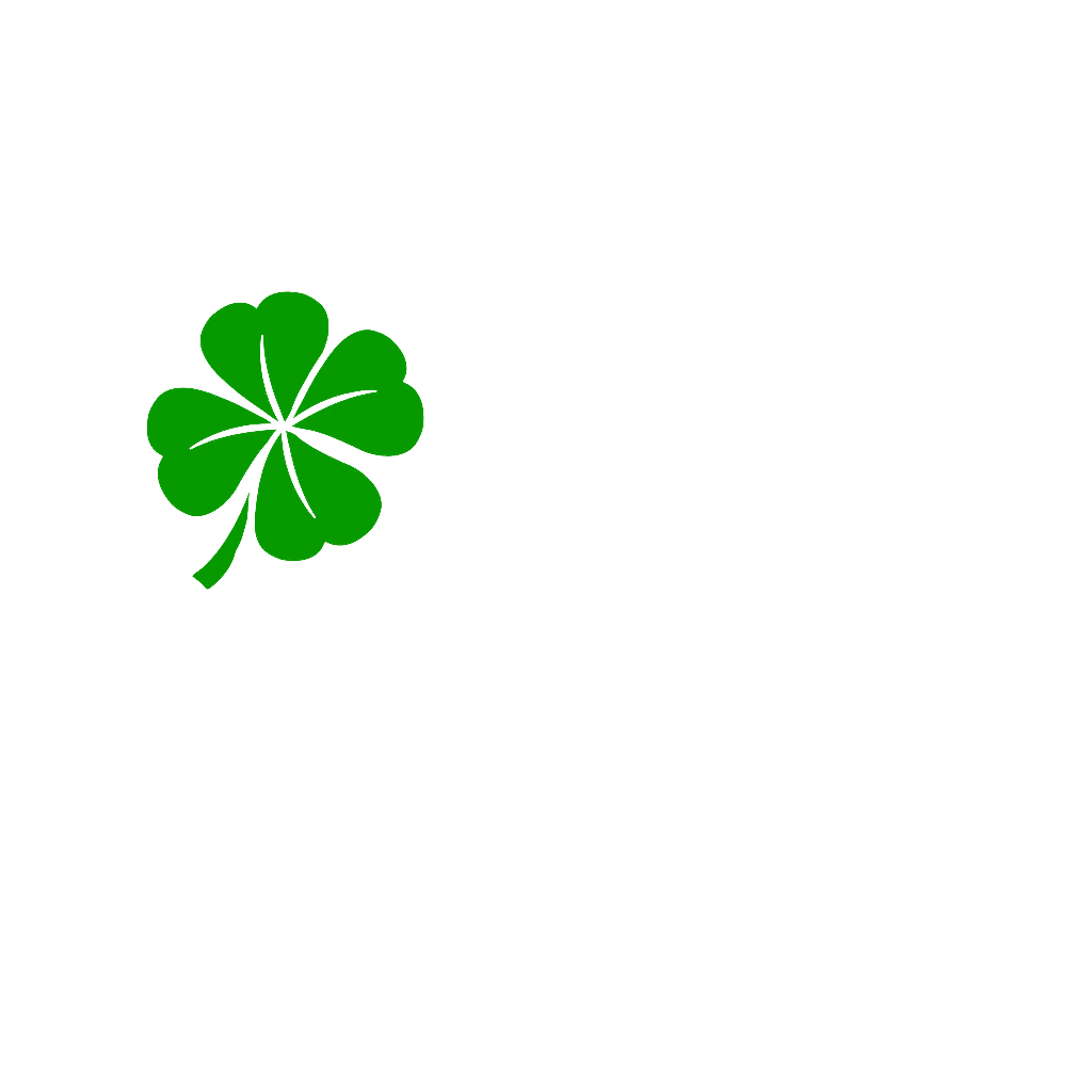 Viking Bail Bonds Logo